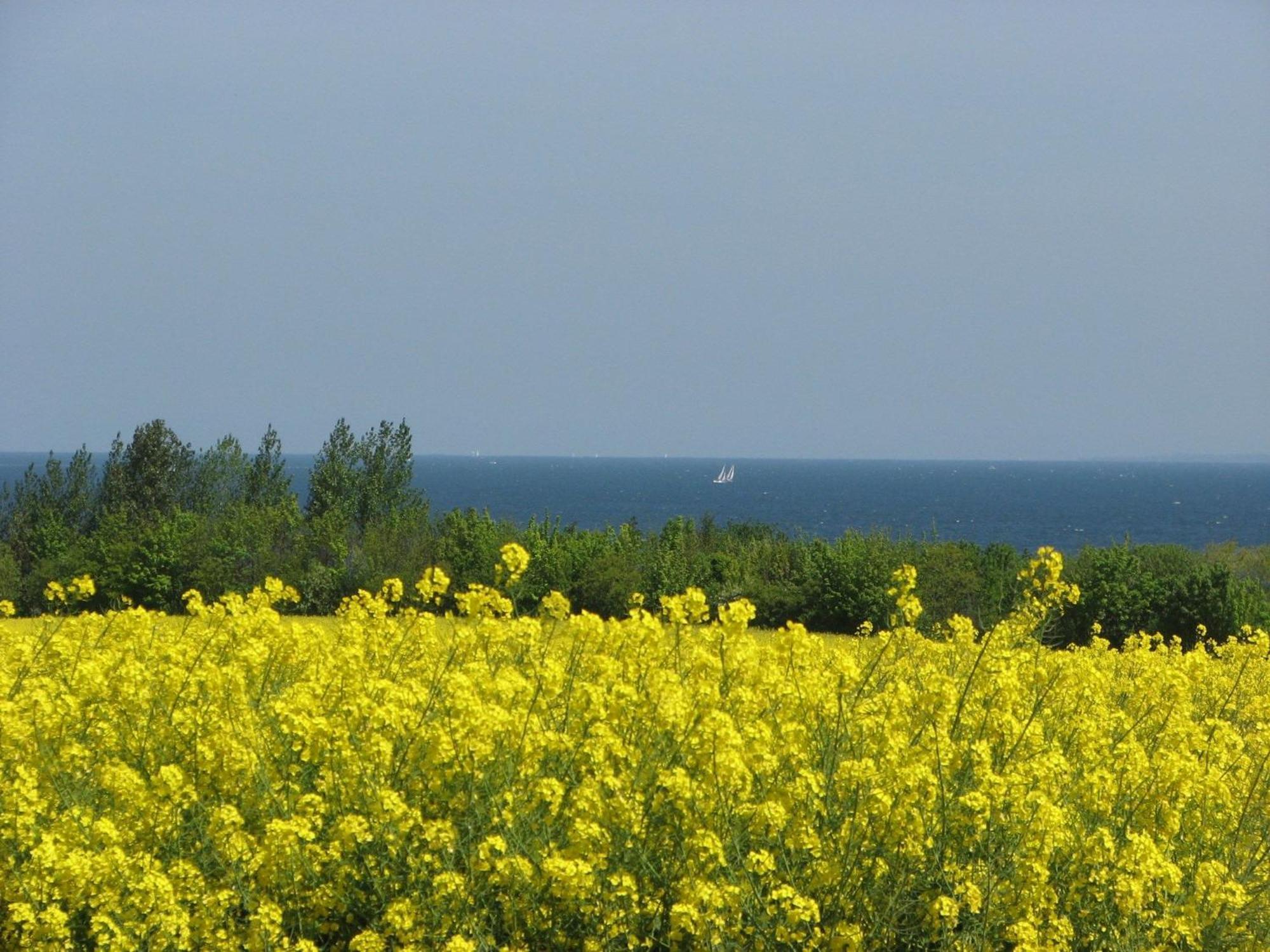 Wilde Moewe No 29 - Aurora Vista - Abc529 - Nur Feriengaeste! Hohen Wieschendorf エクステリア 写真